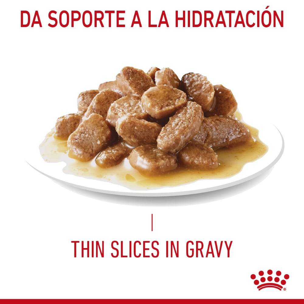 24 Latas Royal Canin Gato Weight Care Thin Slices in Gravy 85 gr - AniMALL
