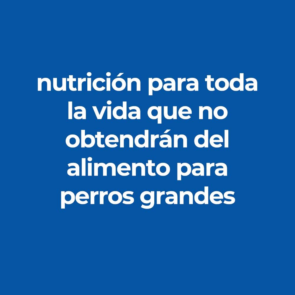 Hill's Science Diet Small & Mini Light, alimento perro adulto bajo en calorías raza pequeña y mini 2Kg - AniMALL