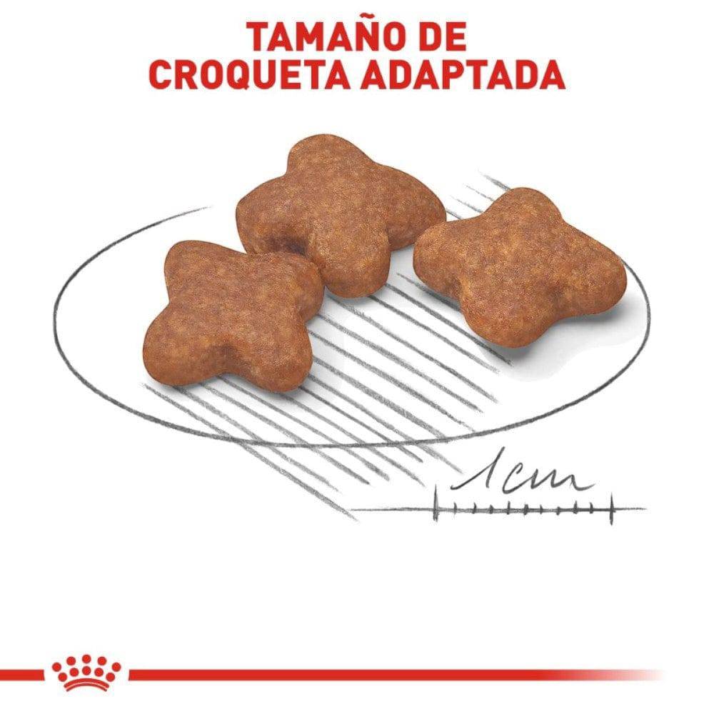 Royal Canin Small Adulto +8 1.1 kg - AniMALL