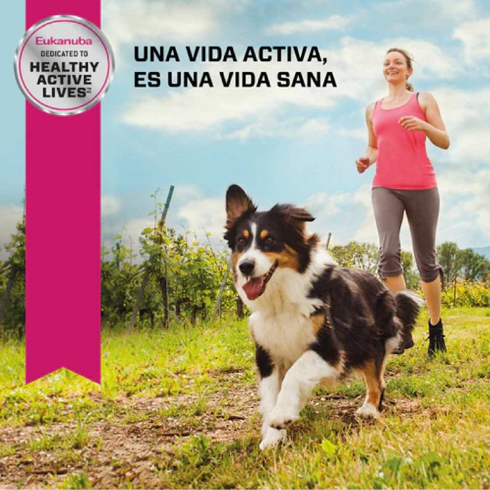12 Latas Alimento Húmedo Perro Adulto Cordero y Arroz 370 gr - AniMALL