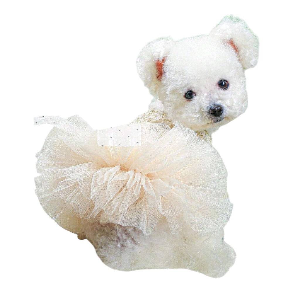 Vestido de Noche color Beige con Moño Talla XSS - AniMALL