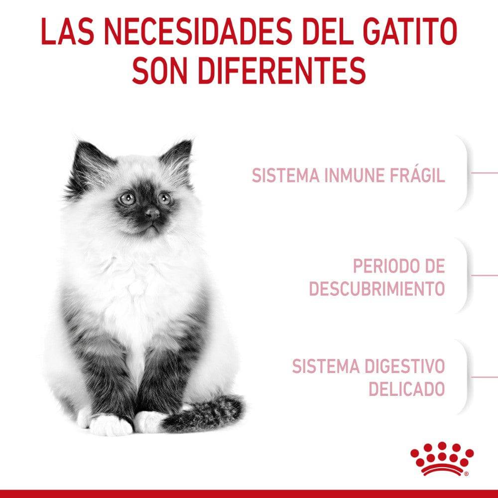 Royal Canin Gato Kitten 3.1 kg - AniMALL