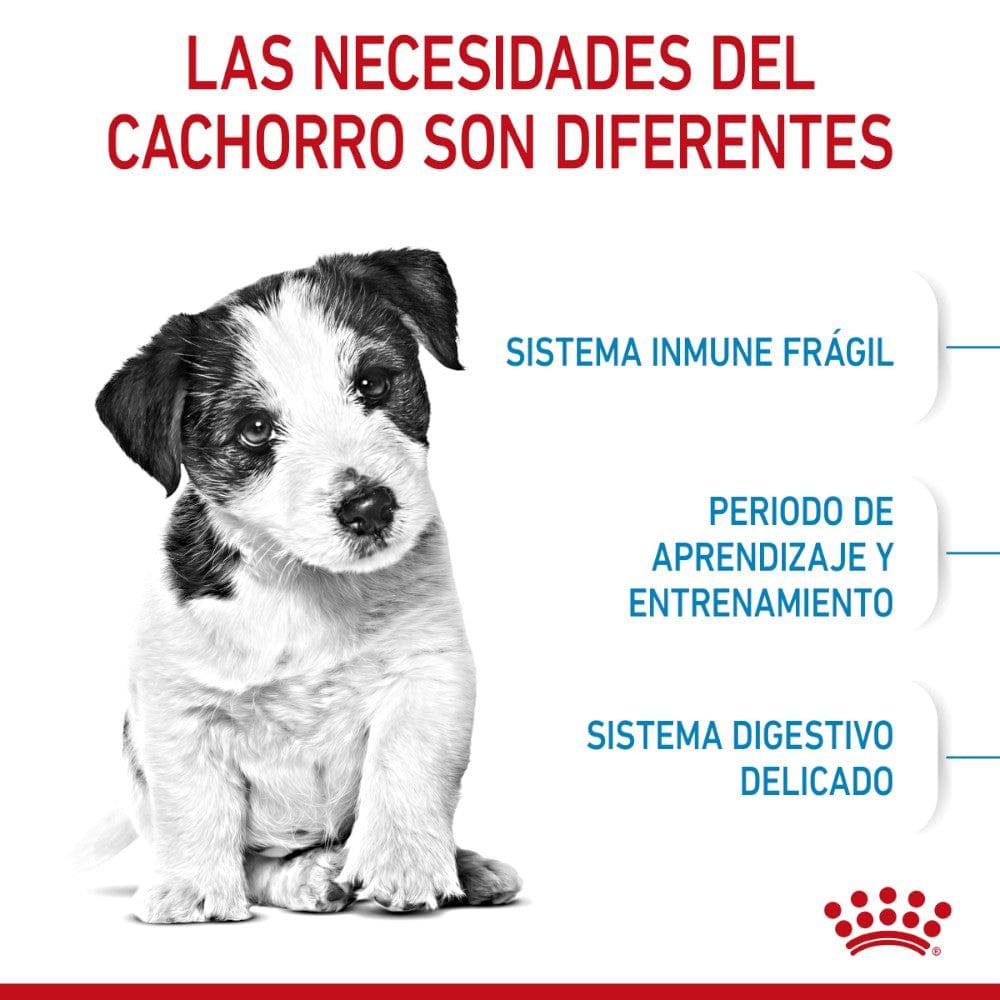 royal canin puppy chiot