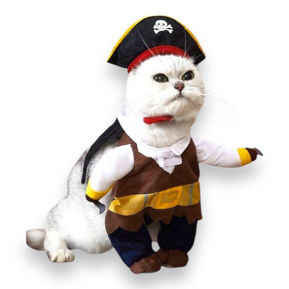 Disfraz Pirata Halloween S - AniMALL