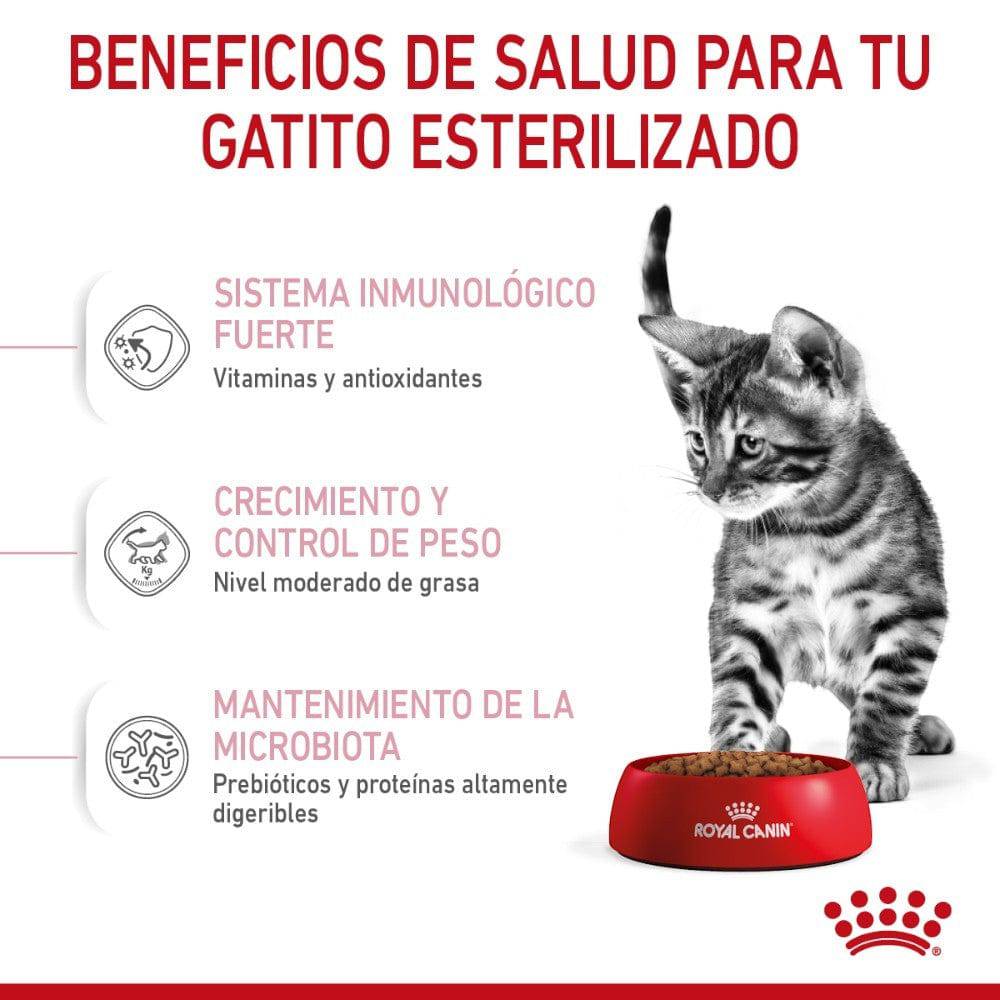 Royal Canin Alimento Seco Gato Kitten Esterilizado 1.14 kg - AniMALL