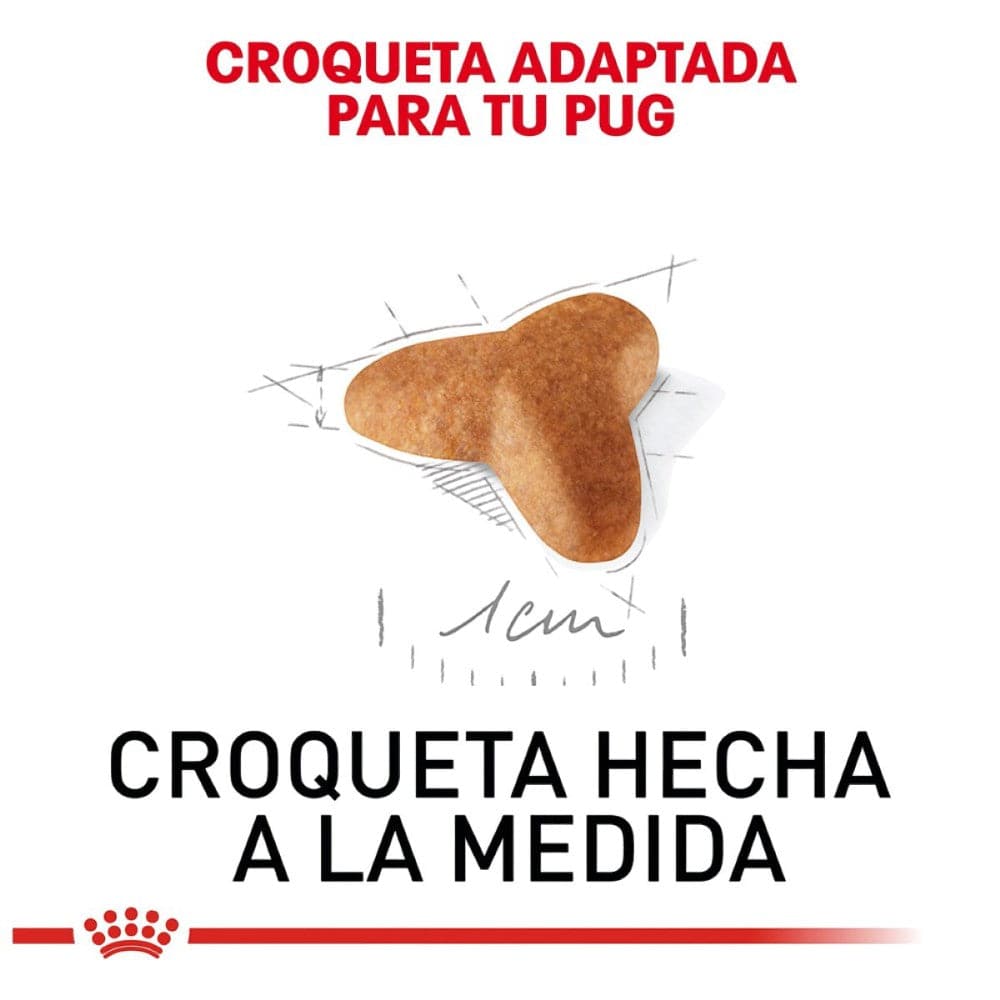Royal Canin Pug Cachorro 1.1 kg - AniMALL