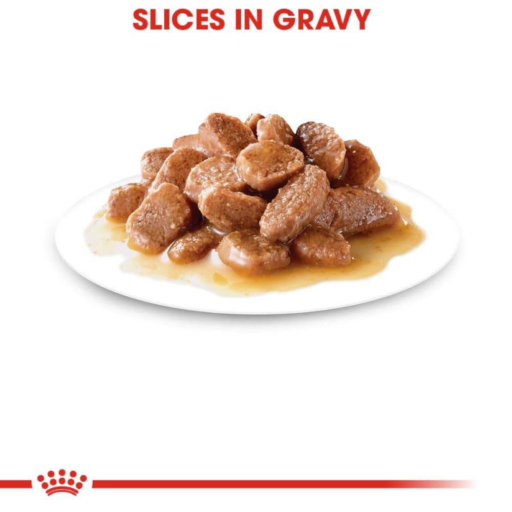 24 Latas Royal Canin Adult Instinctive Gato Slices in Gravy 85 gr - AniMALL