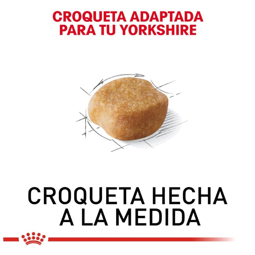 Royal Canin Yorkshire Terrier Adulto 1 kg - AniMALL