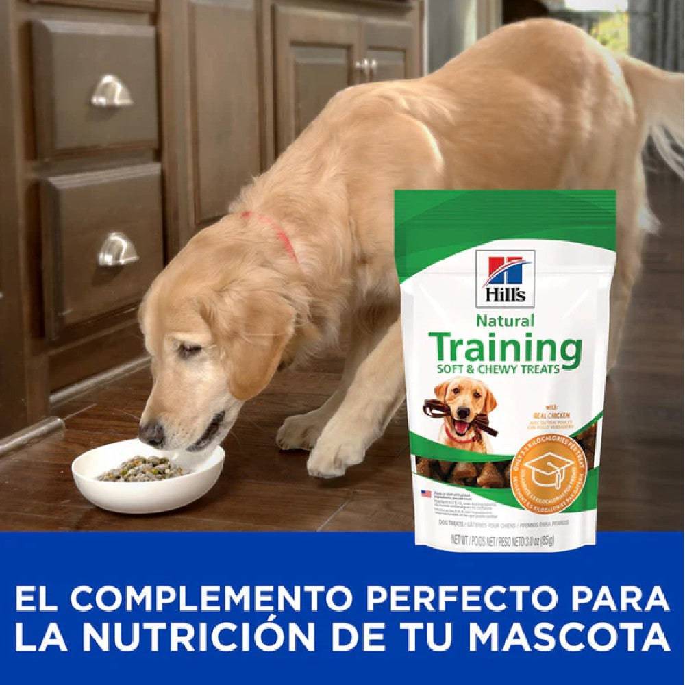 Premios para entrenar perros