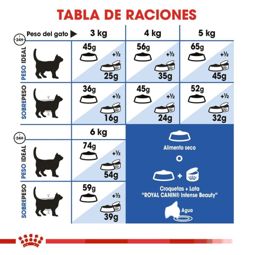 Royal Canin Alimento para Gato Adulto Indoor 3.1 kg - AniMALL