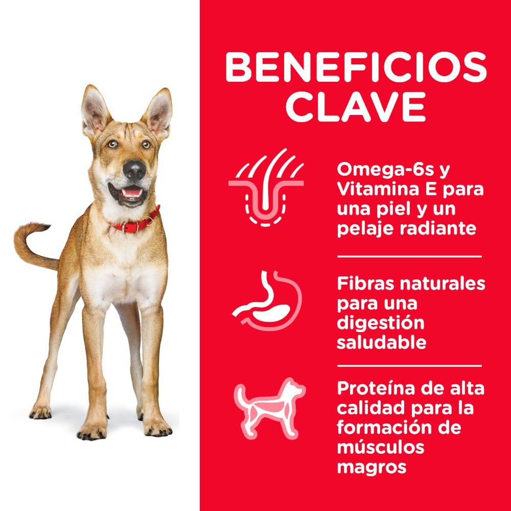Hill's Science Diet Adult, alimento saludable perro adulto, sabor pollo 20.4Kg - AniMALL