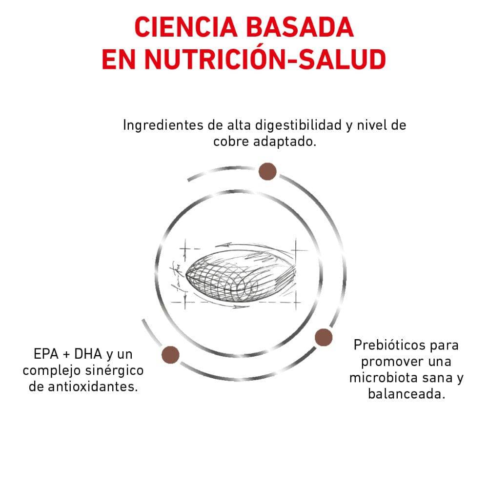 royal canin hepatic 12 kg