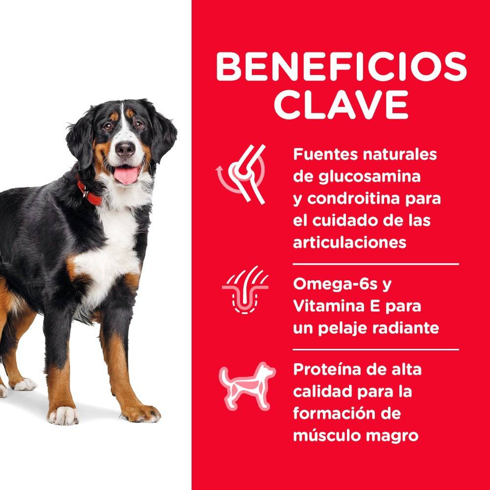 Hill's Science Diet Adult Large Breed, alimento saludable para perro razas grandes 20.4Kg - AniMALL