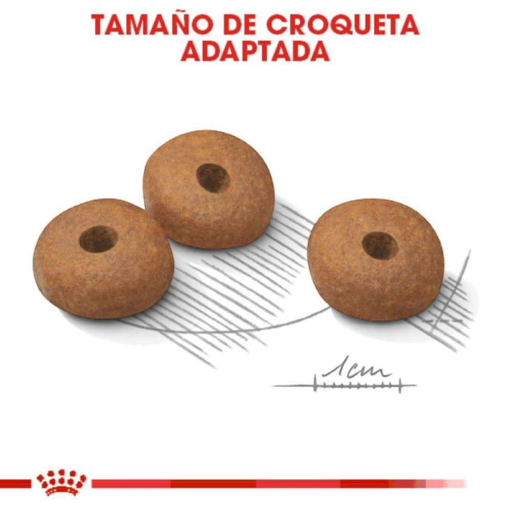 Royal Canin Mini Small Weight Care 1.13 Kg. - AniMALL