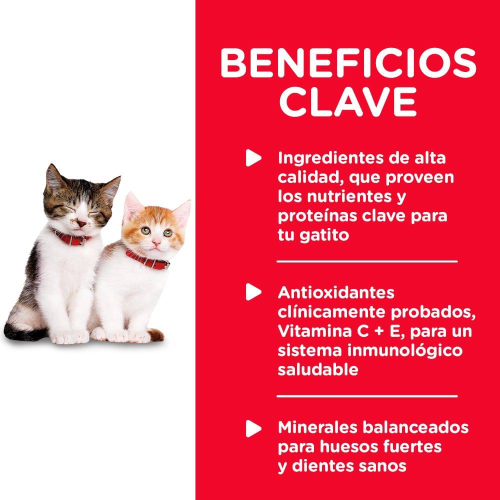 24 Latas Hill's Science Diet Kitten Healthy Cuisine, Alimento saludable húmedo en lata para gatito 79g - AniMALL