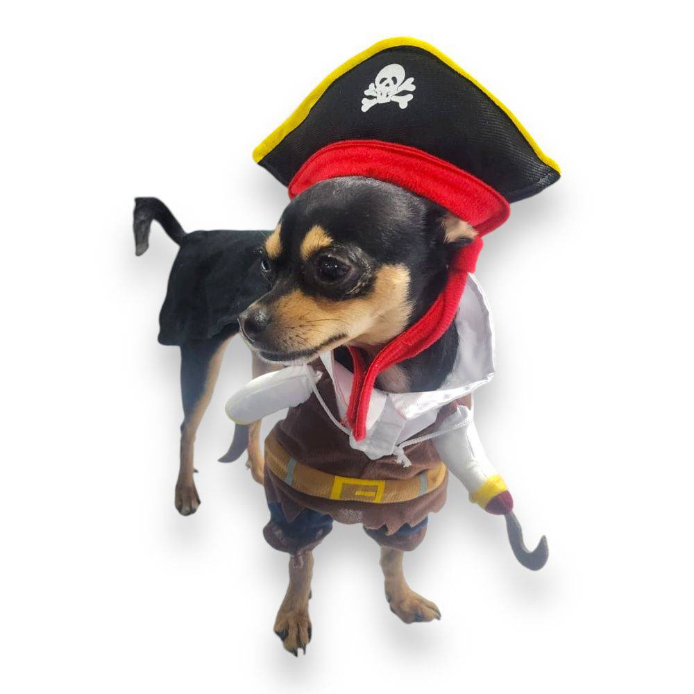 Disfraz Pirata Halloween S - AniMALL