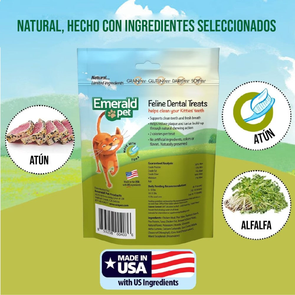 Premios para Gatos