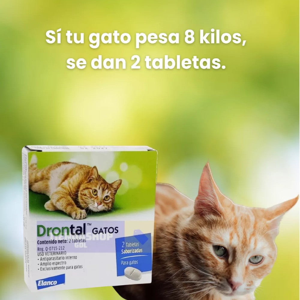 drontal para gatos