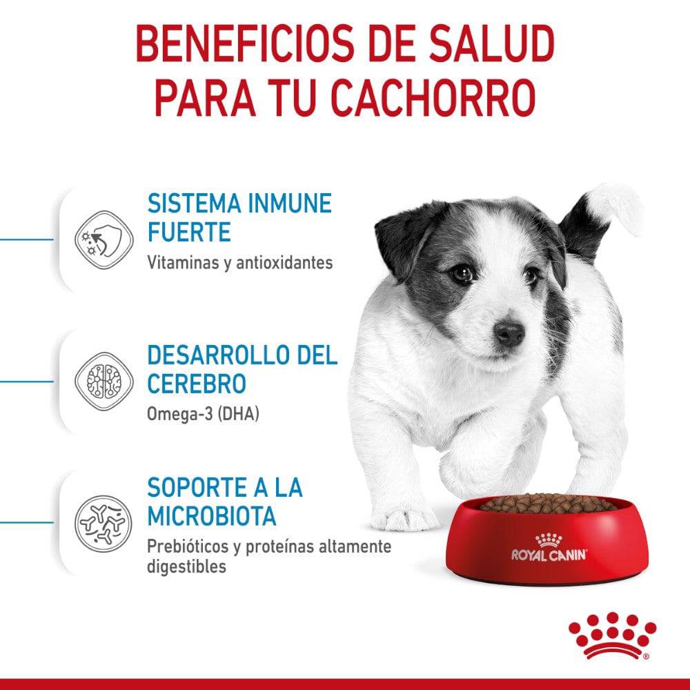 Royal Canin Alimento Seco Perro Puppy Small 341 gr - AniMALL