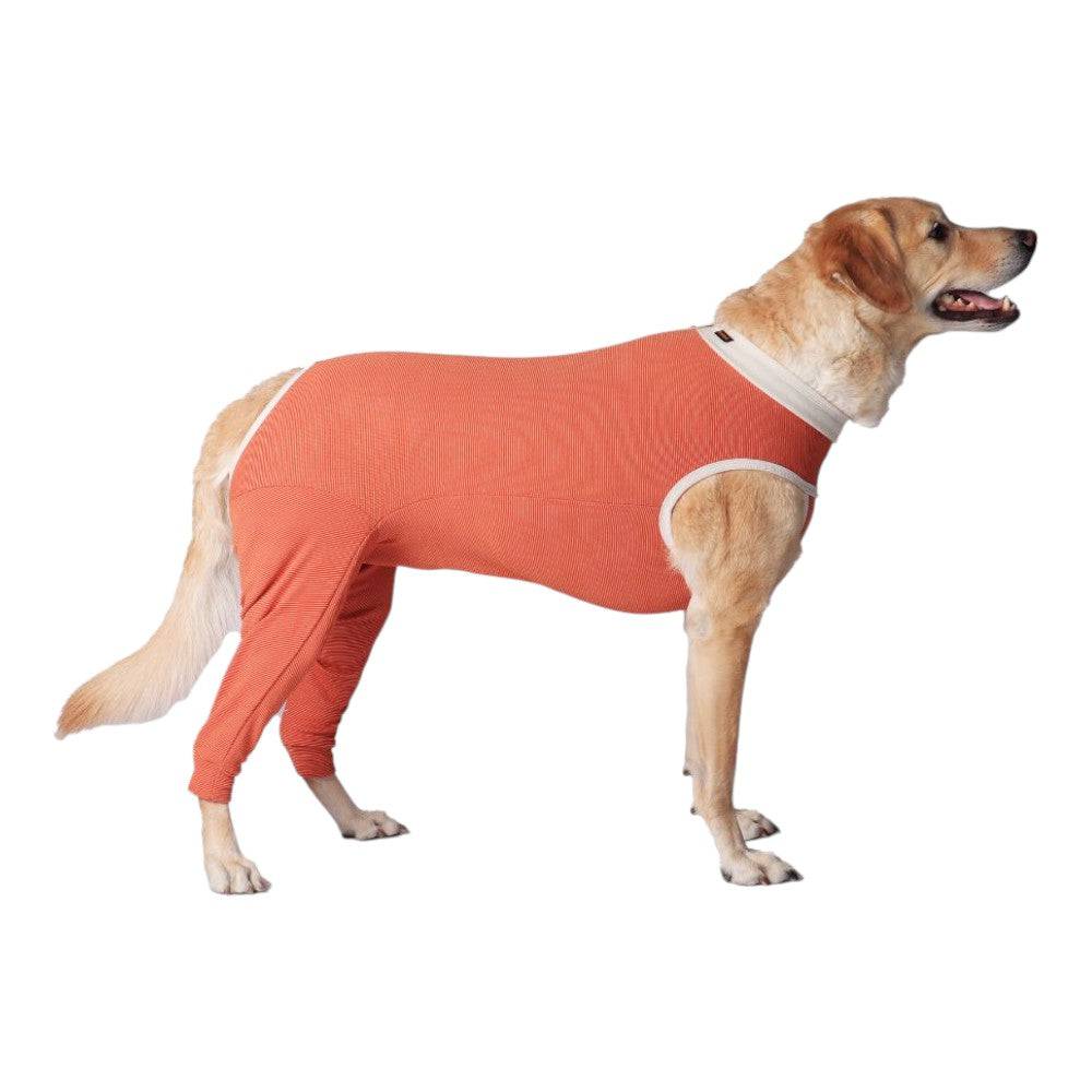 Original Body X2 (Heridas/Postoperatiorio) Talla 1 - AniMALL