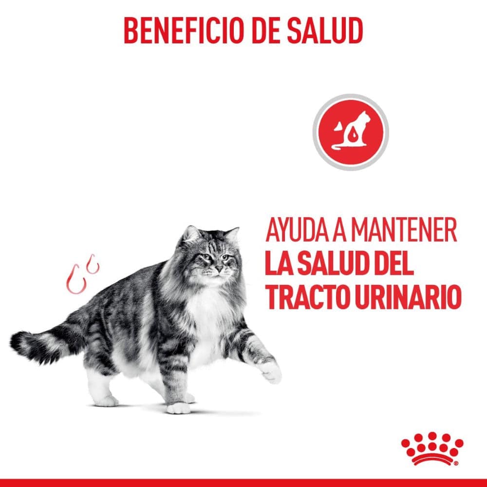 Royal Canin Feline Urinary Care 6.36 Kg - AniMALL