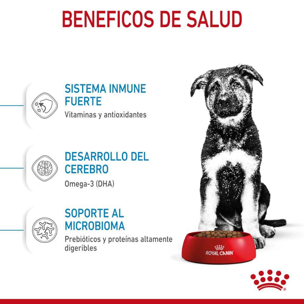 royal canin large puppy