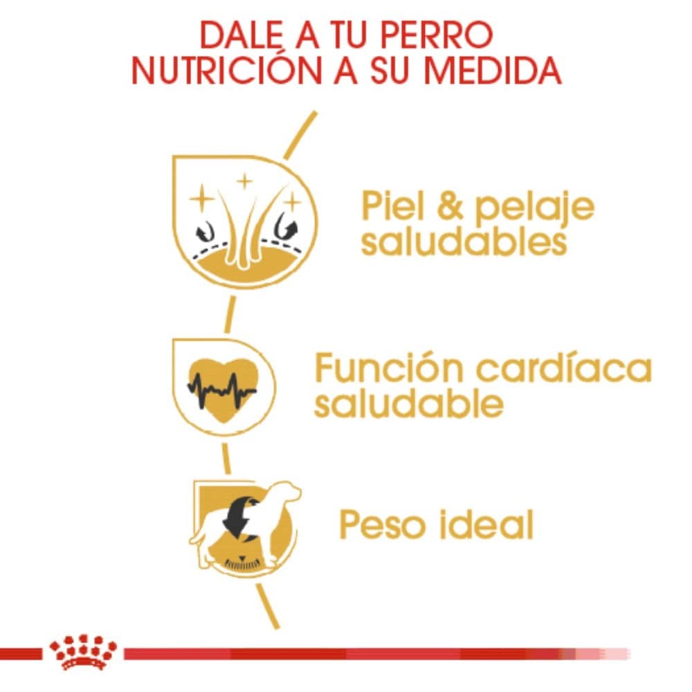 Royal Canin Golden Retriever Adulto 13.6 Kg - AniMALL