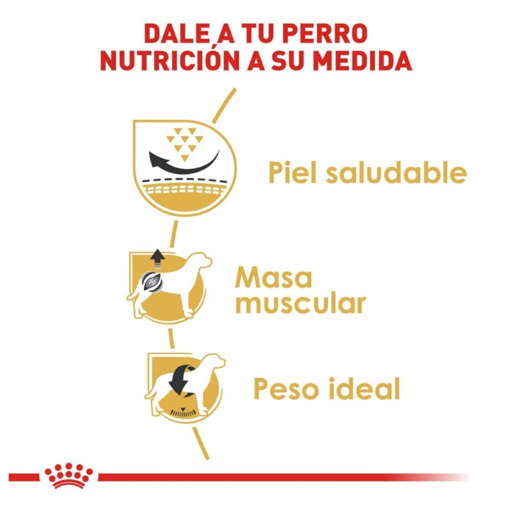 Royal Canin Perro Pug Adulto 4.5 kg - AniMALL