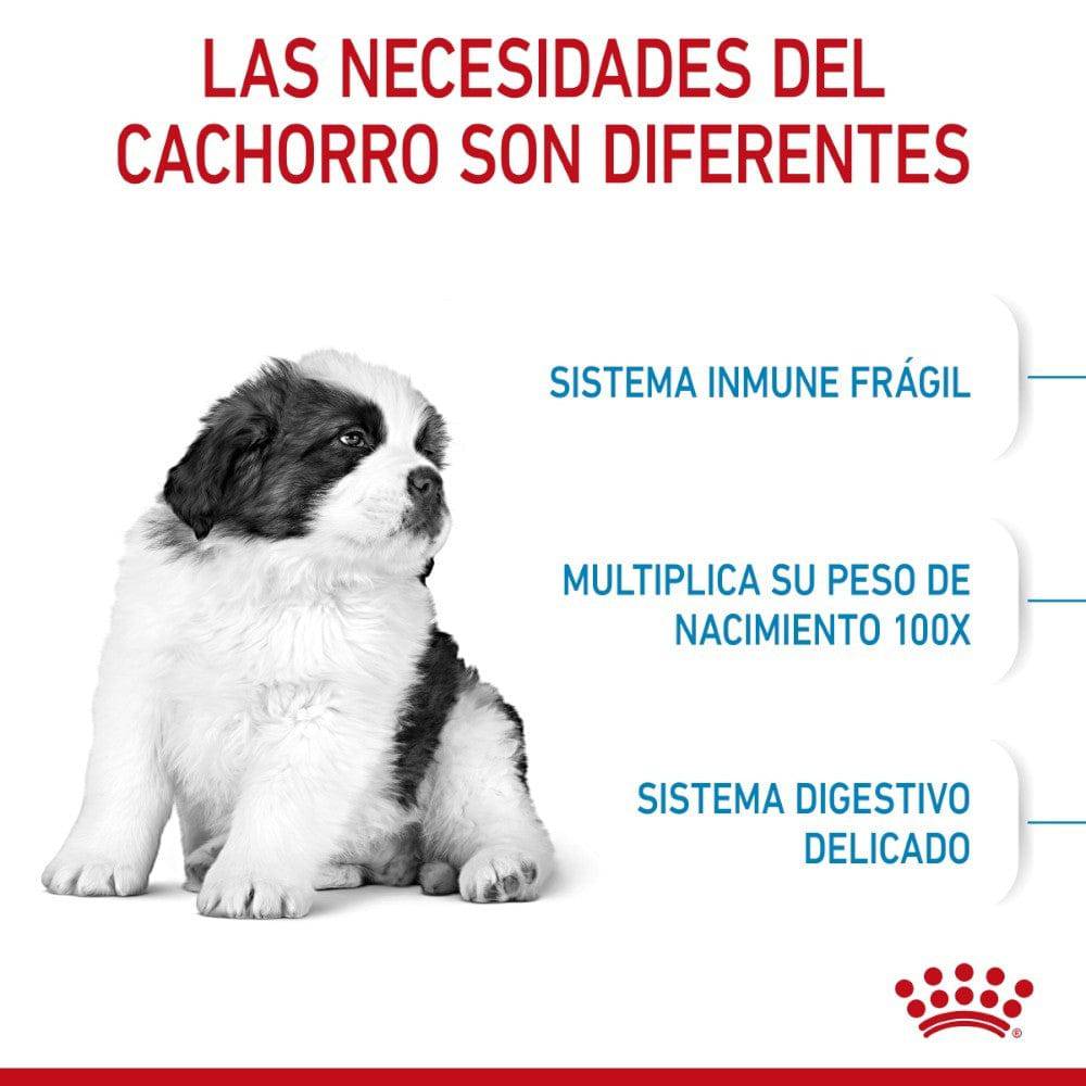 Royal Canin Alimento para Cachorro Giant Puppy 13.6 kg - AniMALL