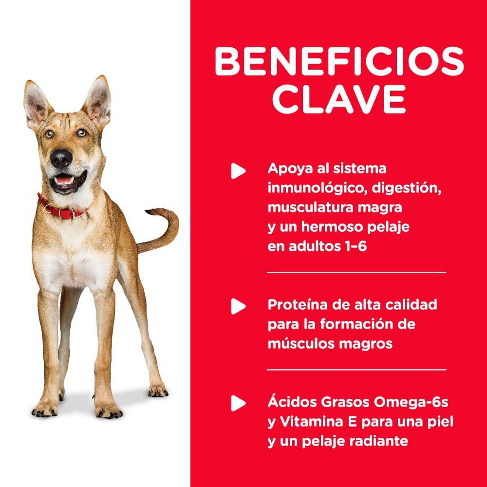 12 Latas Hill's Science Diet Adult, Alimento húmedo en lata para perro adulto sabor pollo 369g - AniMALL