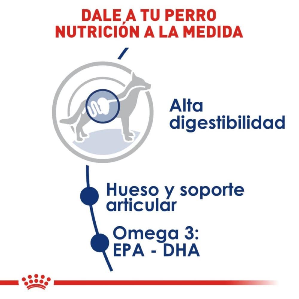 Royal Canin Perro Adulto Maxi Large 13.61 kg - AniMALL