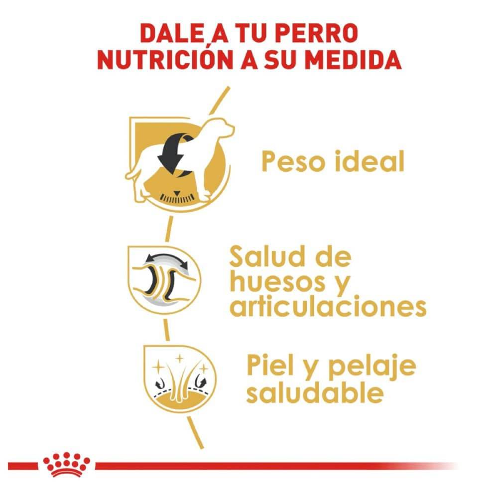 Royal Canin Perro Adulto Labrador Retriever 13.6 kg - AniMALL