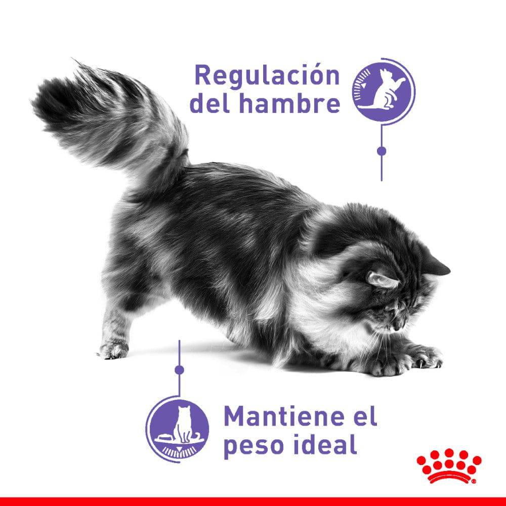 Gato Adulto Appetite Control Spayed Neutered 6.36 Kg - AniMALL