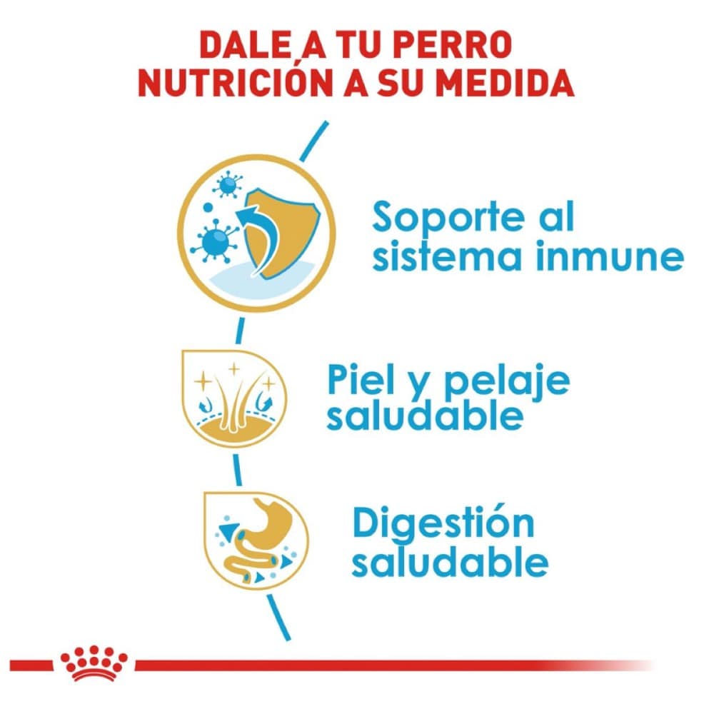 Royal Canin Perro Cachorro Shih Tzu 1.1 Kg - AniMALL