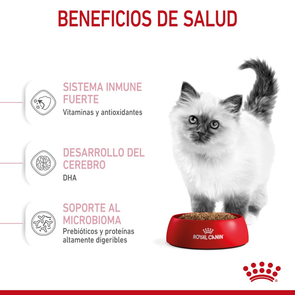 Royal Canin Gato Kitten 3.1 kg - AniMALL