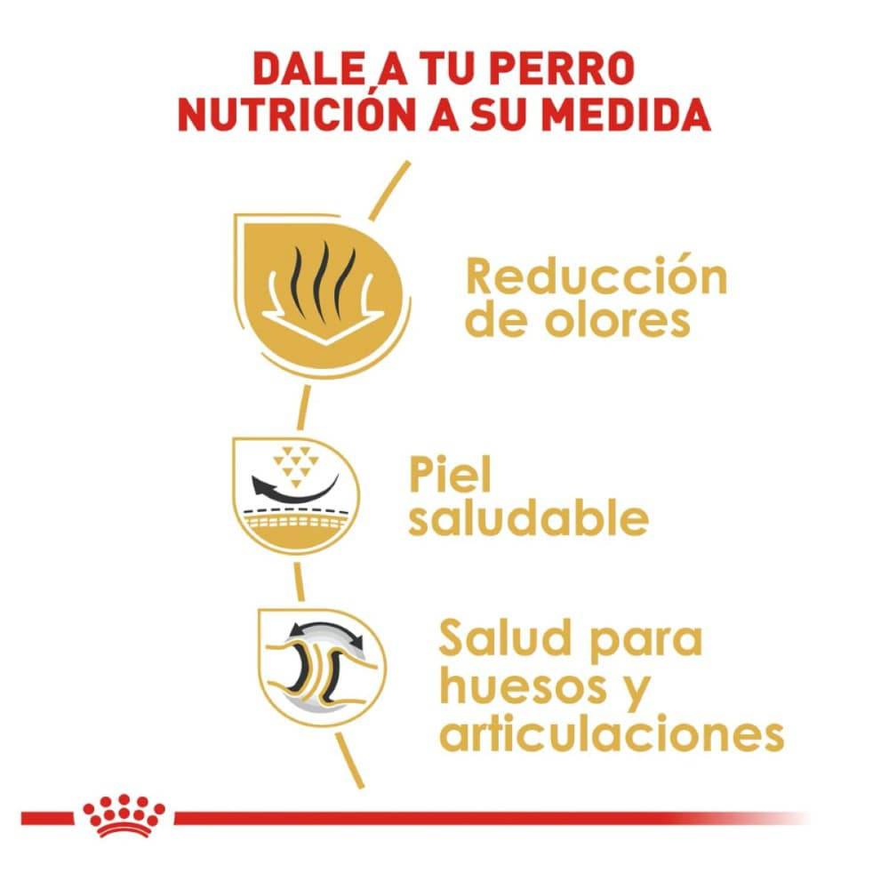 Royal Canin Adulto Raza Bulldog 13.6 kg - AniMALL