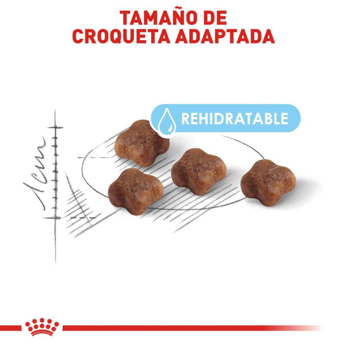 Royal Canin Mother and Babycat Alimento Gato Gatito 1.37 kg - AniMALL