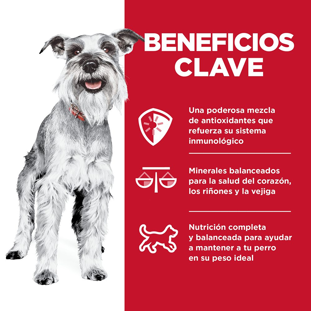 Hill's Science Diet Small & Mini Adult 7+, alimento para perro senior raza pequeña y mini 2Kg - AniMALL