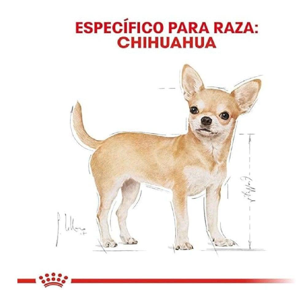 24 Latas Royal Canin Chihuahua Adult 85 gr - AniMALL