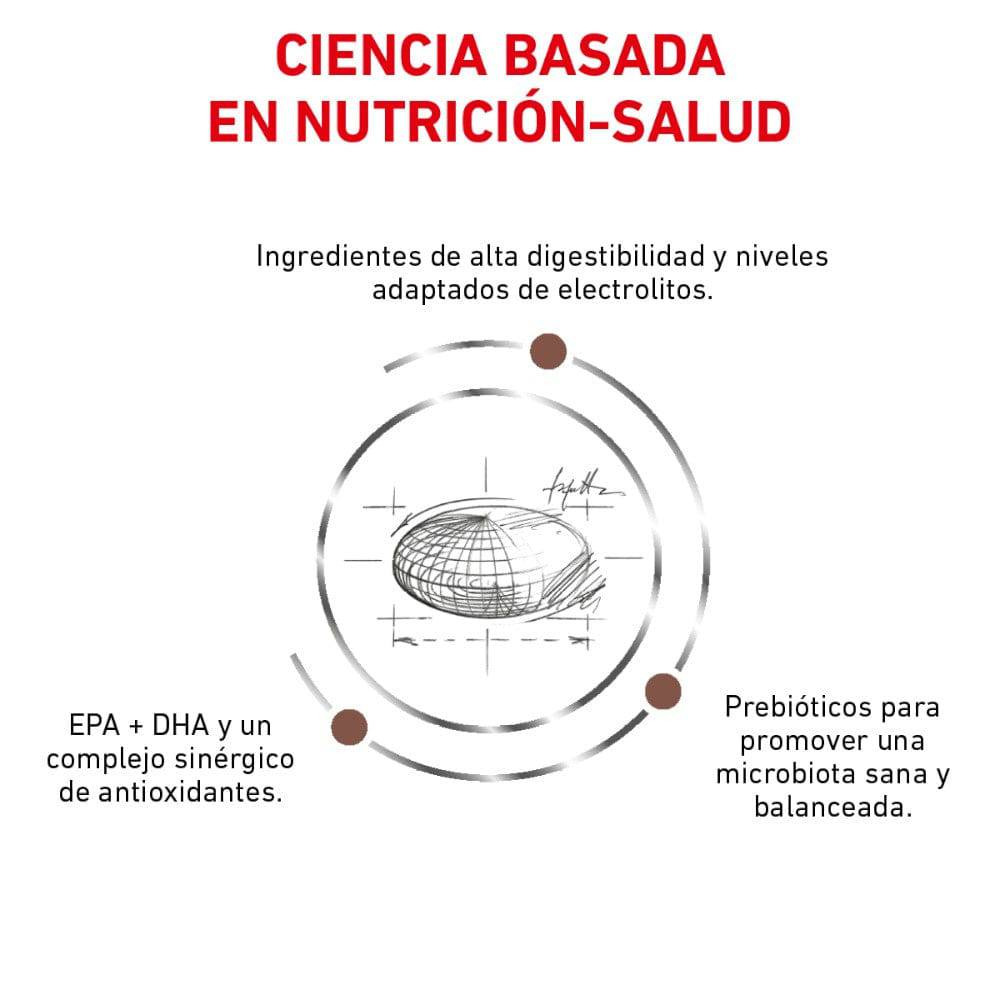 alimento gastrointestinal para perros