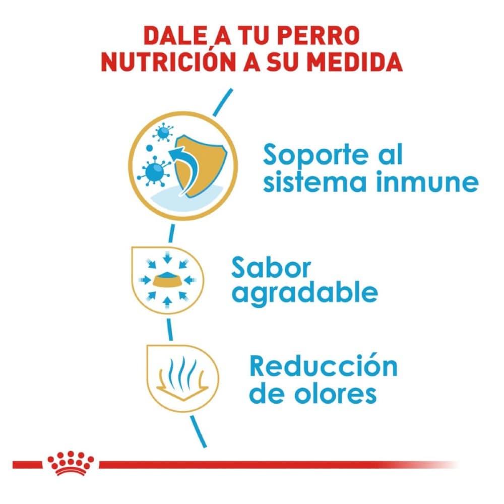 Royal Canin Perro Cachorro Chihuahua 1.1 Kg - AniMALL