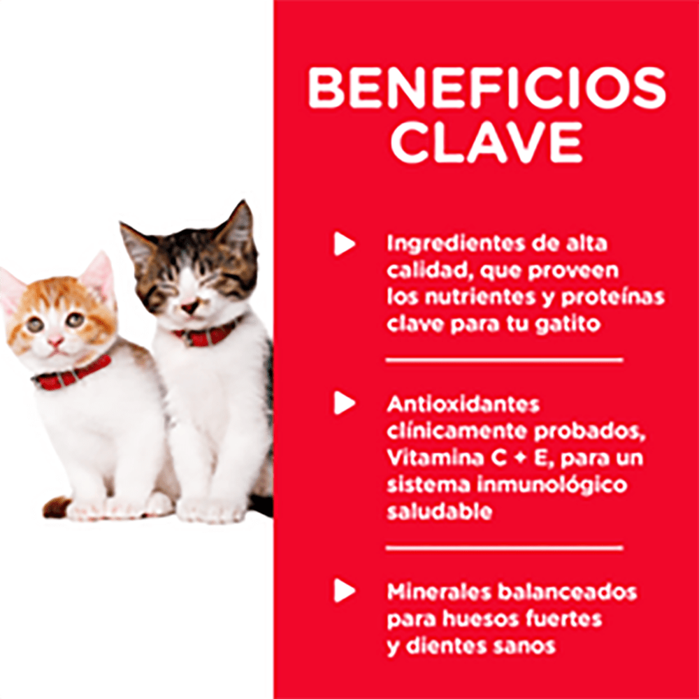 Lata Hill's Science Diet Kitten, alimento saludable húmedo en lata para gatitos 156g - AniMALL