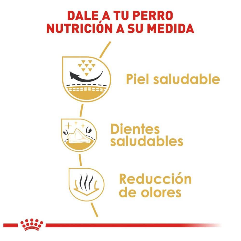 Royal Canin Shih Tzu Adulto 1.13 kg - AniMALL