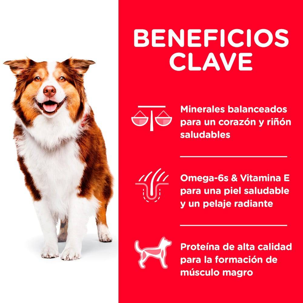 Hill's Science Diet Perro Adulto