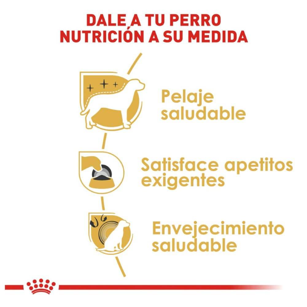 Royal Canin Yorkshire Terrier Adulto 1 kg - AniMALL