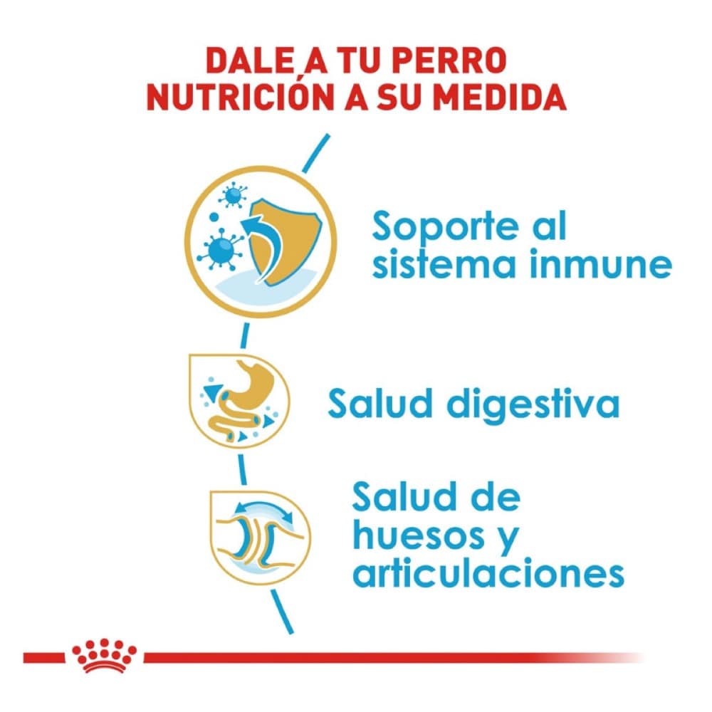 Royal Canin Alimento para Cachorro Bulldog 13.6 kg - AniMALL