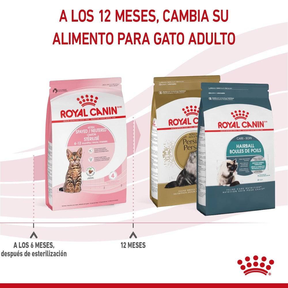 royal canin gatos esterilizados