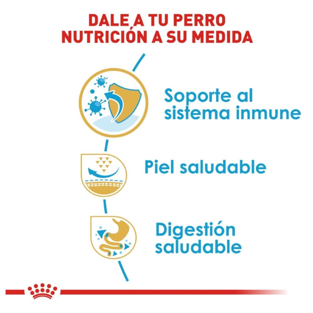 Royal Canin Pug Cachorro 1.1 kg - AniMALL
