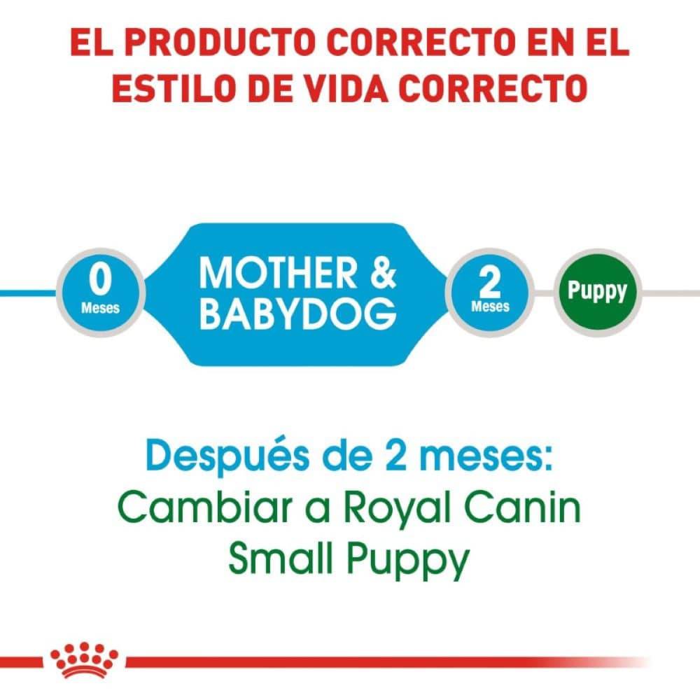 Royal Canin Alimento Seco Perro Starter Mother and Baby Dog 6.3 kg - AniMALL