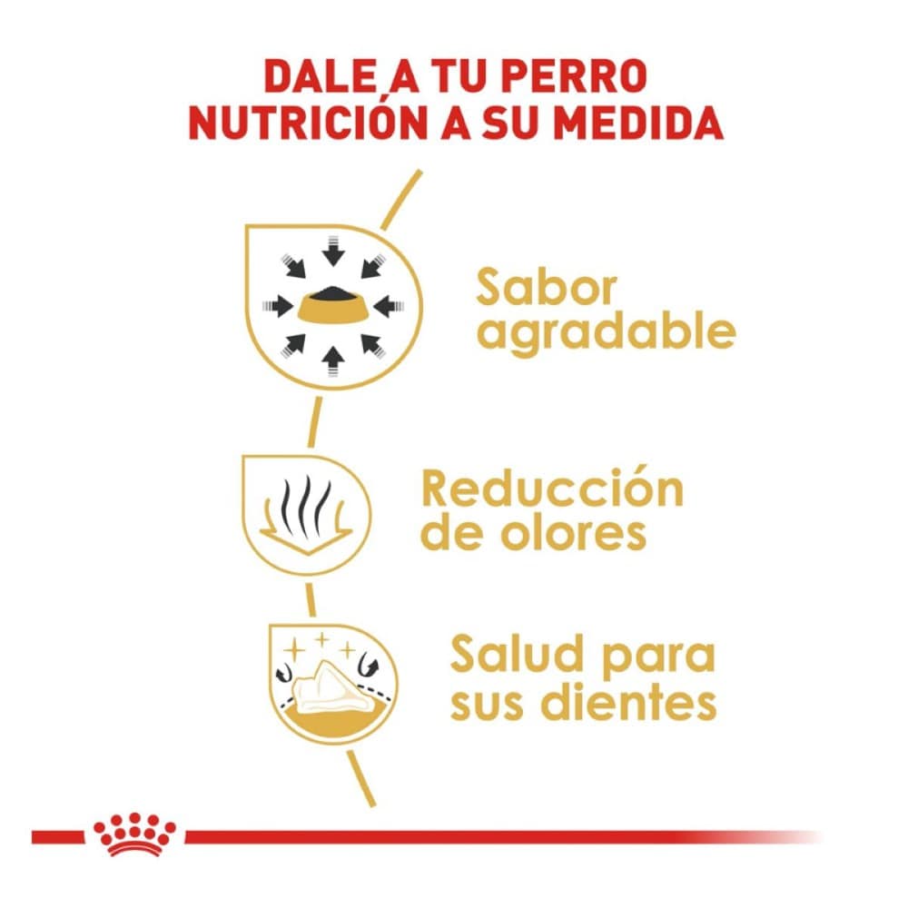 Royal Canin Adulto Chihuahua 4.5 kg - AniMALL